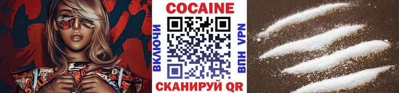mega как зайти  закладки  Чкаловск  Cocaine FishScale 