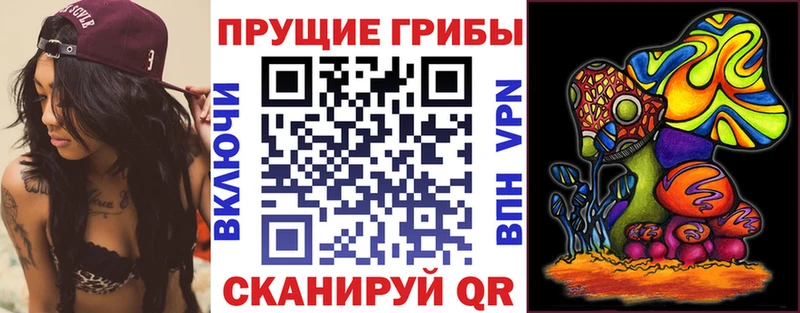 Галлюциногенные грибы Magic Shrooms Чкаловск