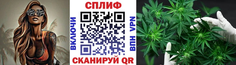 Бошки Шишки сатива  Чкаловск 